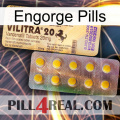 Engorge Pills new06